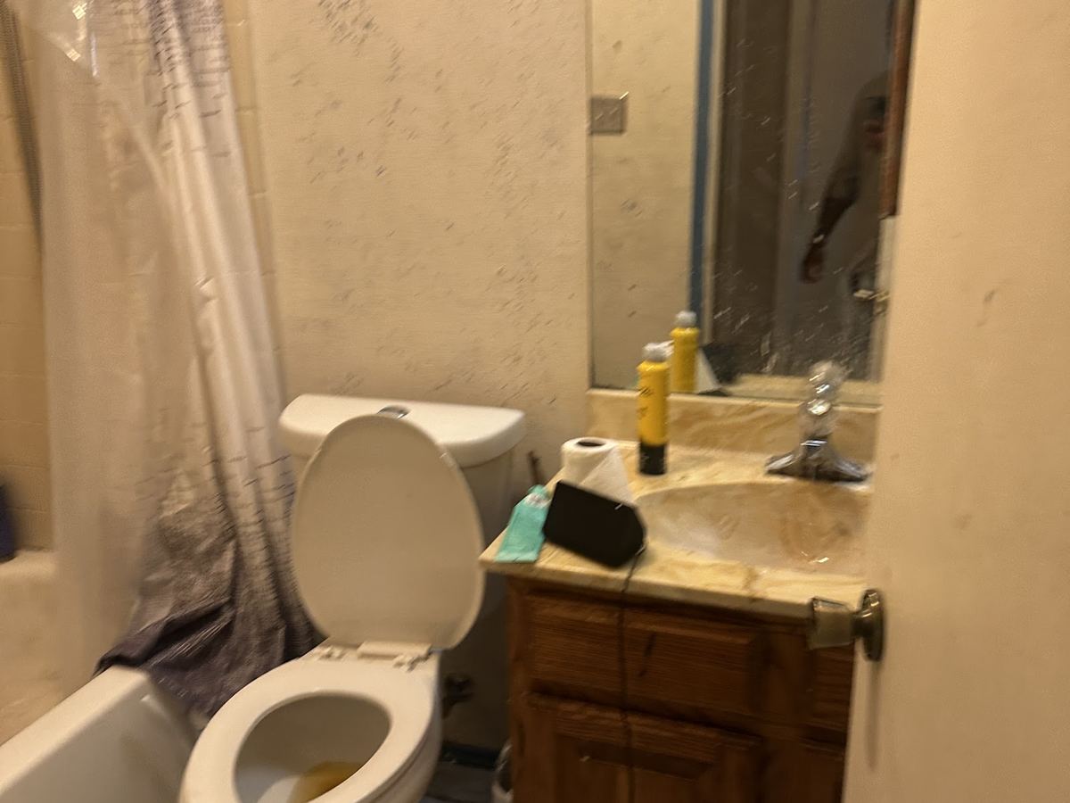 Bathroom before renovation