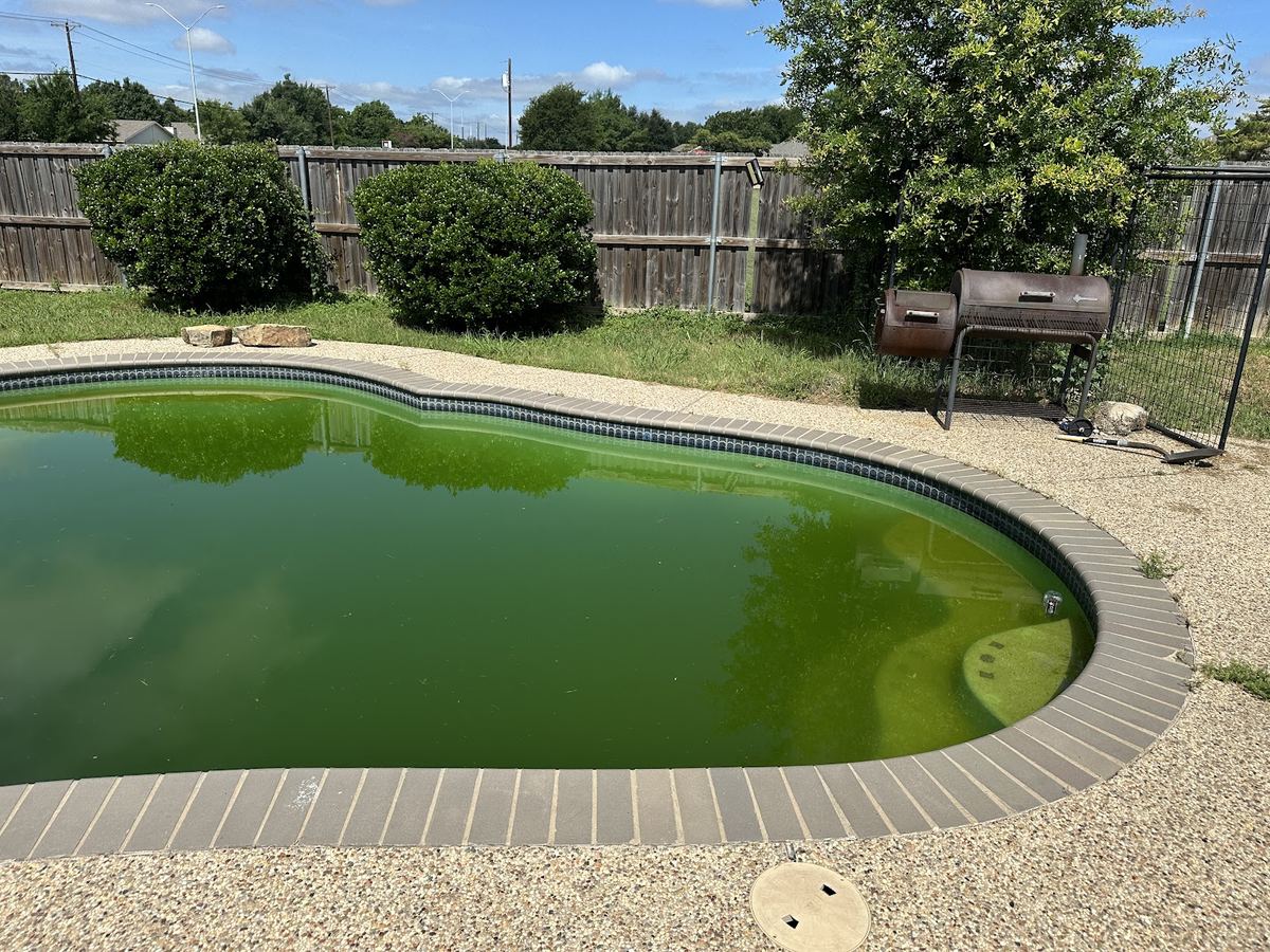 Backyard pool before renovation